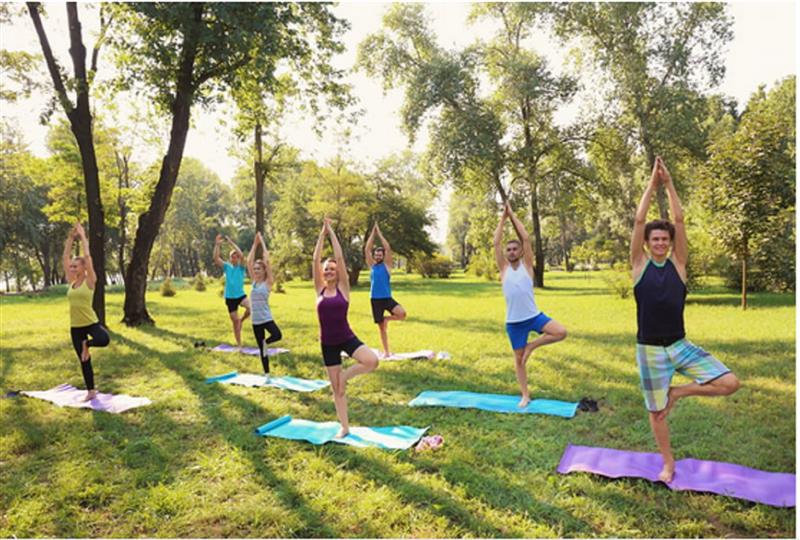 Bayside yoga